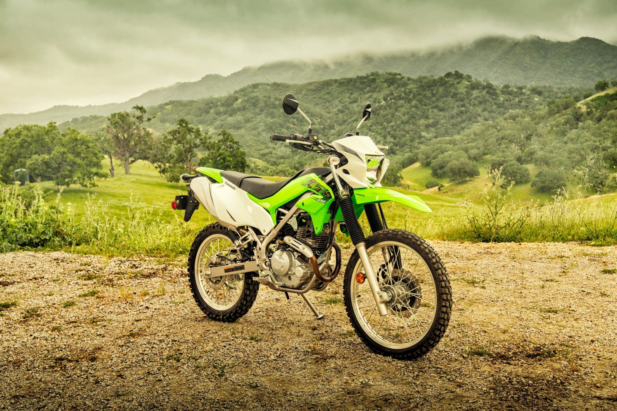 klx 230 2020