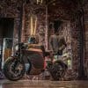 Sarolea