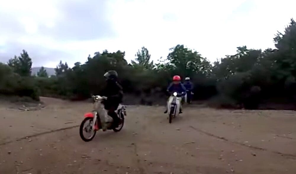 honda cub