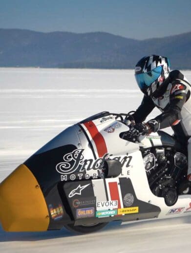 Indian workhorse Appaloosa