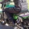 sedici garda pants review
