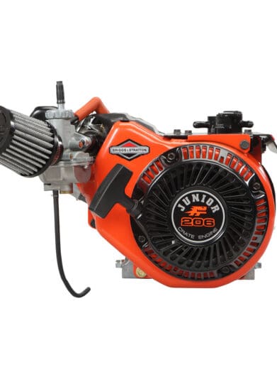 Briggs & Stratton
