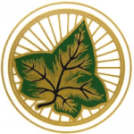 Ivy logo