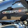 A Harley Davidson gas tank emblem.