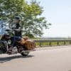 2021 Indian Vintage
