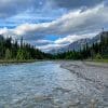 A stream running through the forests of Alberta, Canada with the Canadian Rockies in the background.