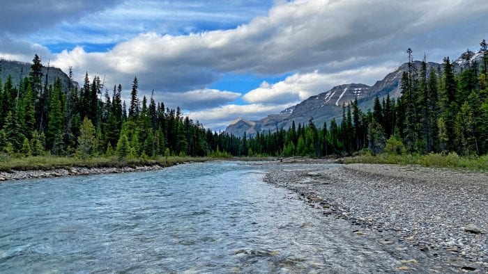 A stream running through the forests of Alberta, Canada with the Canadian Rockies in the background.