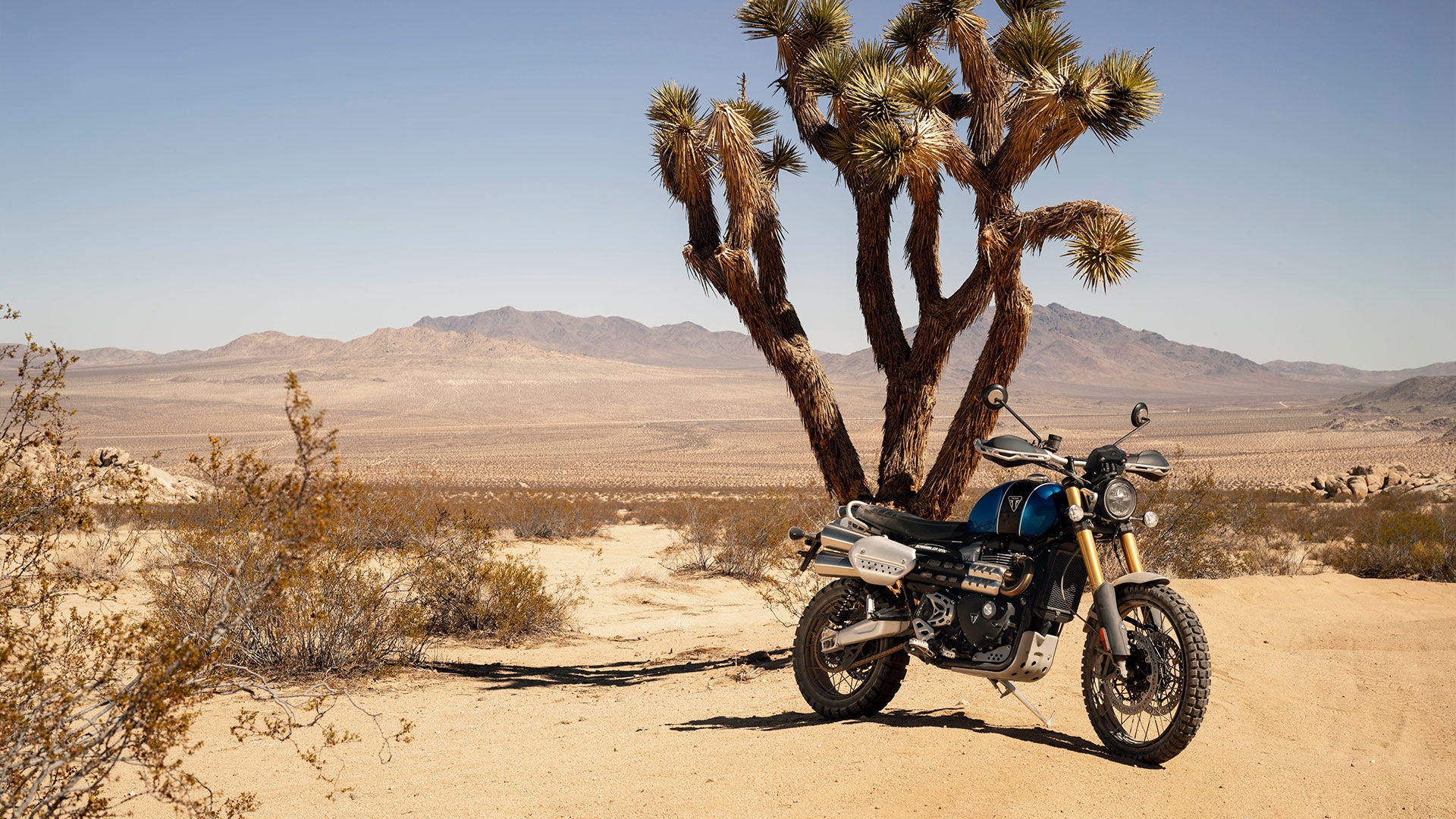 2021 Triumph Bonneville Scrambler 1200 XE Specs Features Photos