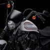 2021 Harley Davidson Iron 1200