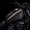 2021 Harley Davidson Iron 883