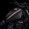 2021 Harley Davidson Iron 883