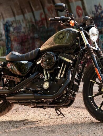 2021 Harley Davidson Iron 883