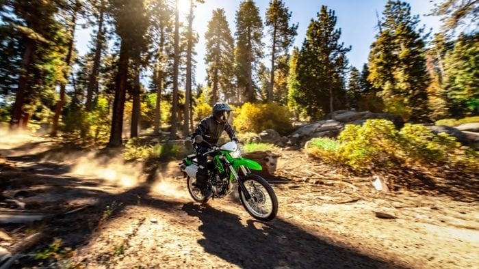 2021 Kawasaki KLX 300