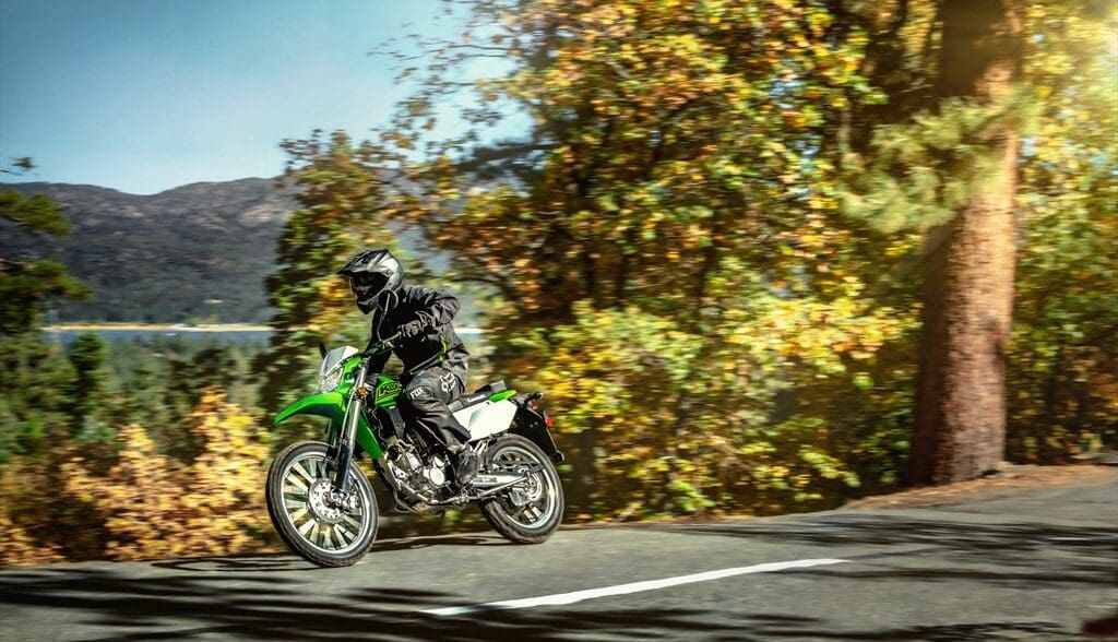2021 Kawasaki KLX 300