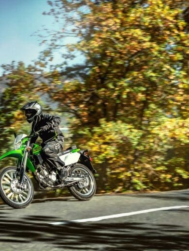 2021 Kawasaki KLX 300