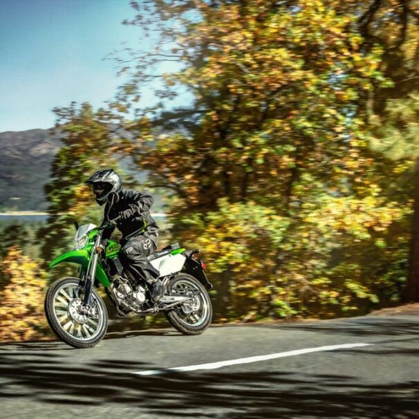 2021 Kawasaki KLX 300