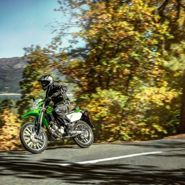 2021 Kawasaki KLX 300