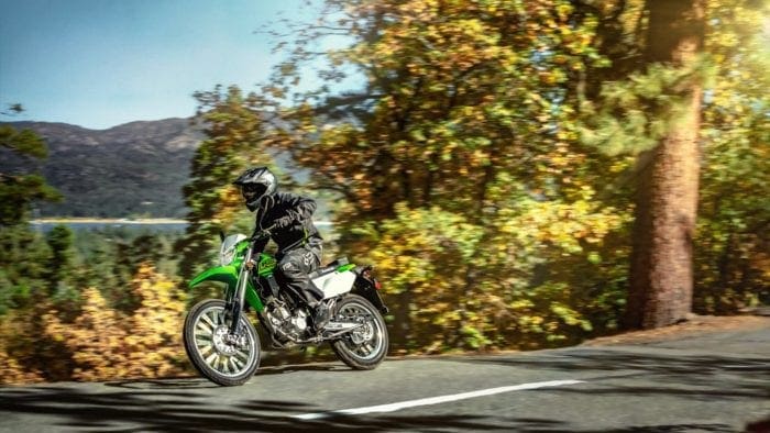 2021 Kawasaki KLX 300