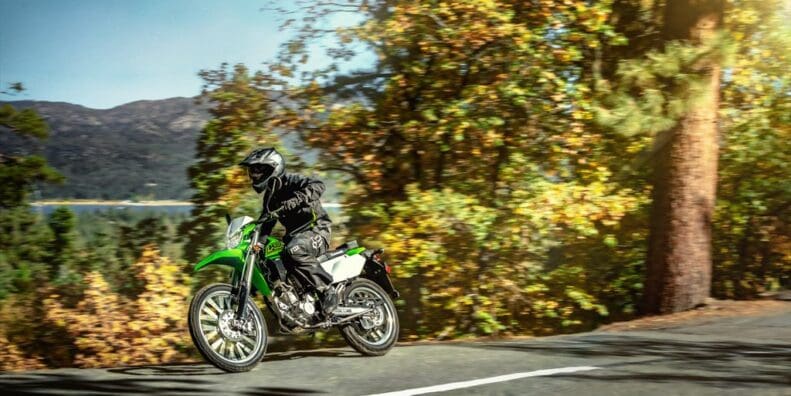 2021 Kawasaki KLX 300