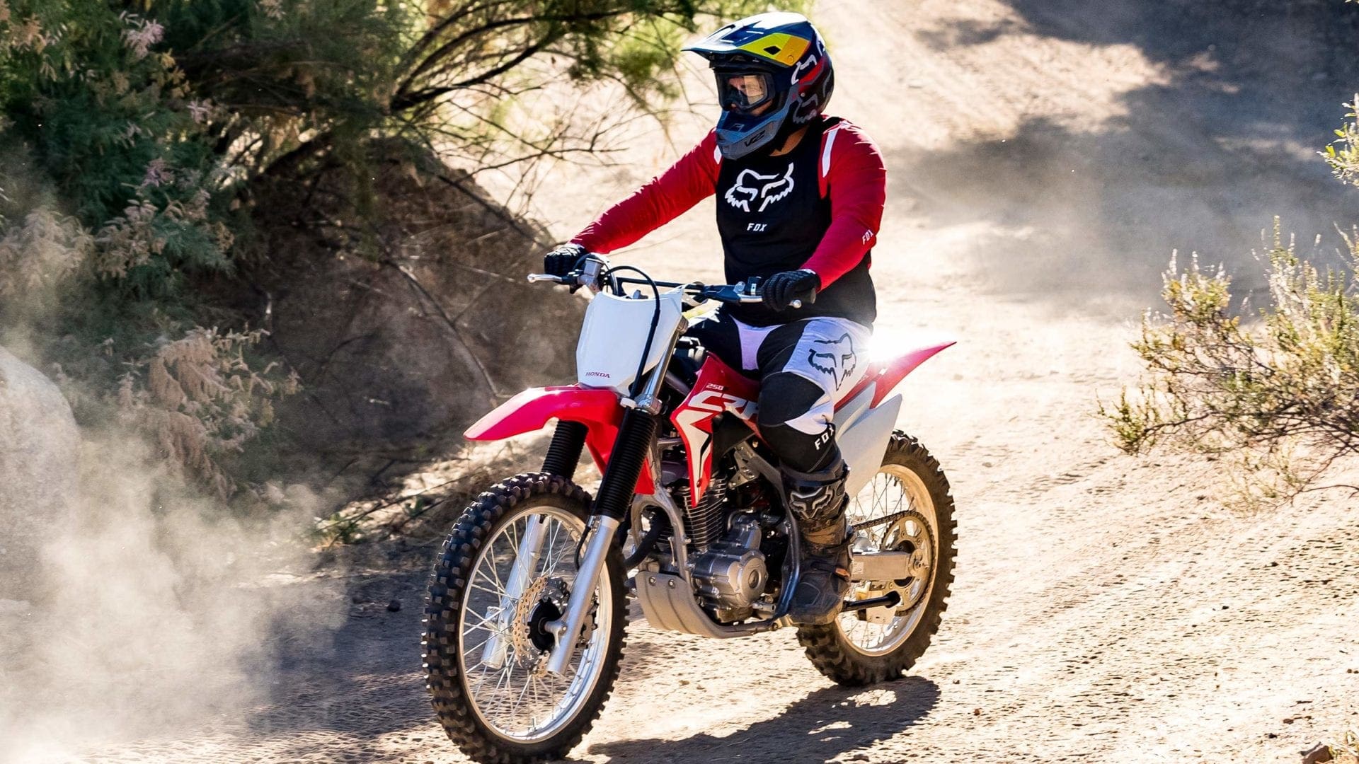 2021 honda crf250l release date