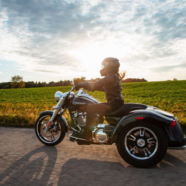 2021 Harley Davidson Freewheeler