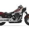 2021 Harley Davidson Softail Slim