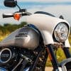 2021 Harley Davidson Sport Glide