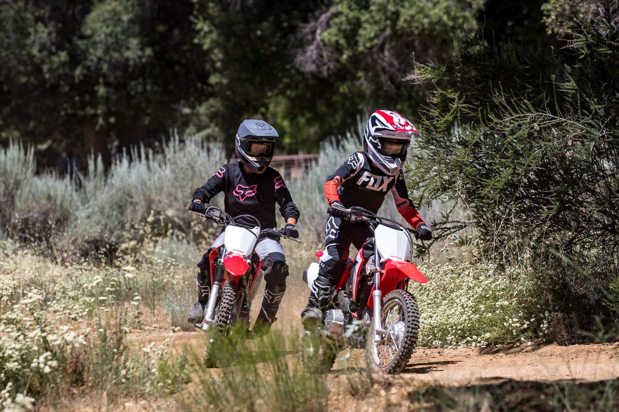 crf110f 2021