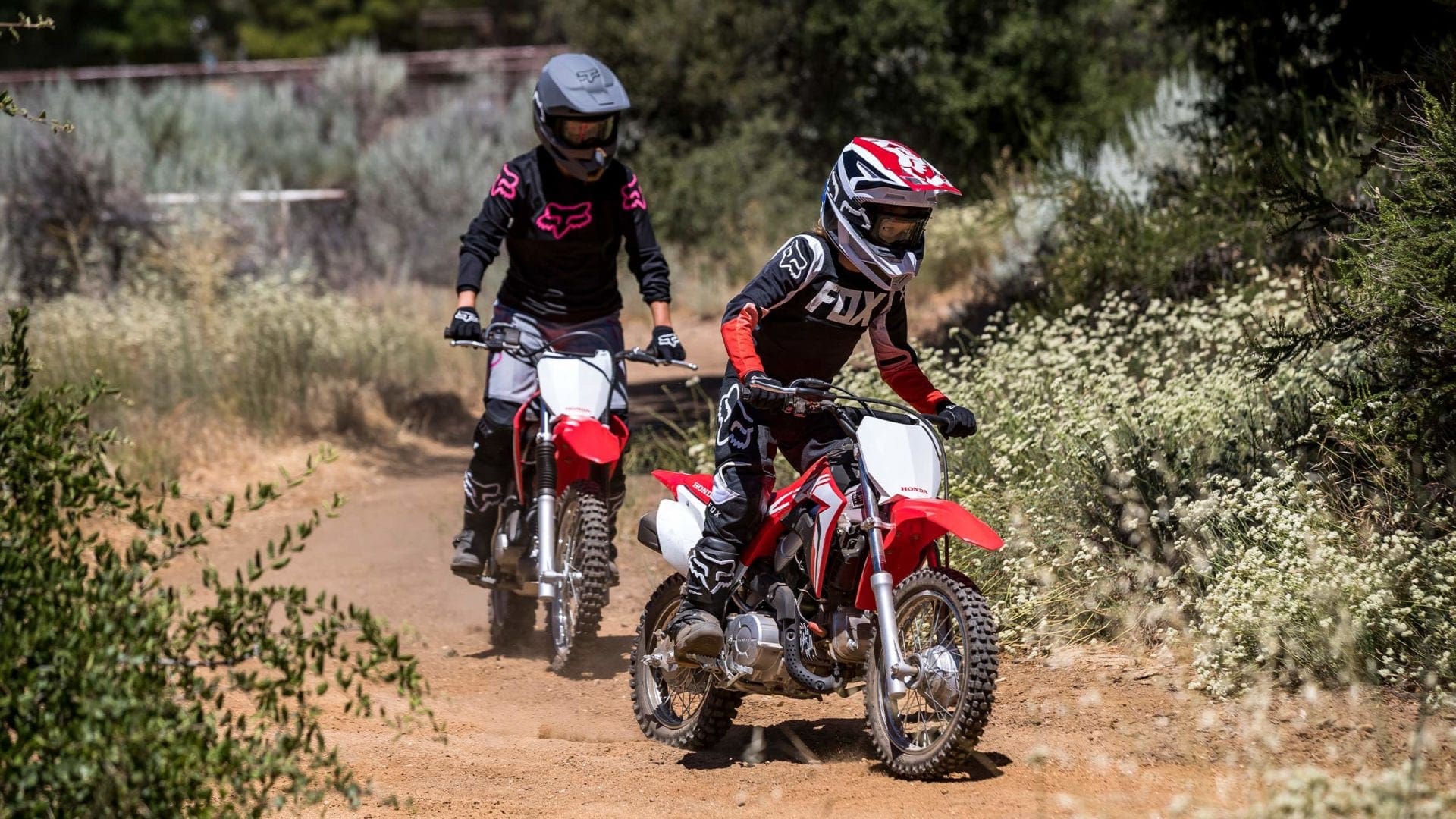 2021 honda crf110f for sale