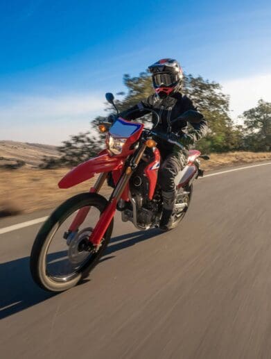 2021 Honda CRF300L / CRF300L Rally