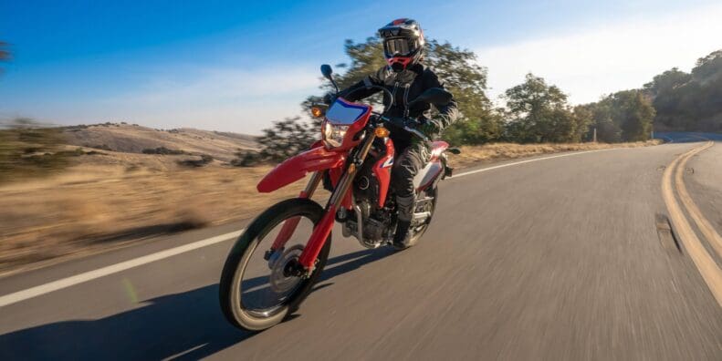 2021 Honda CRF300L / CRF300L Rally