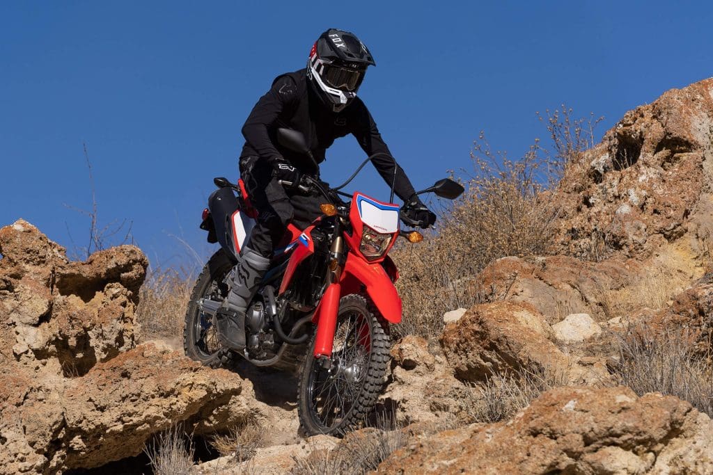 2021 Honda CRF300L / CRF300L Rally