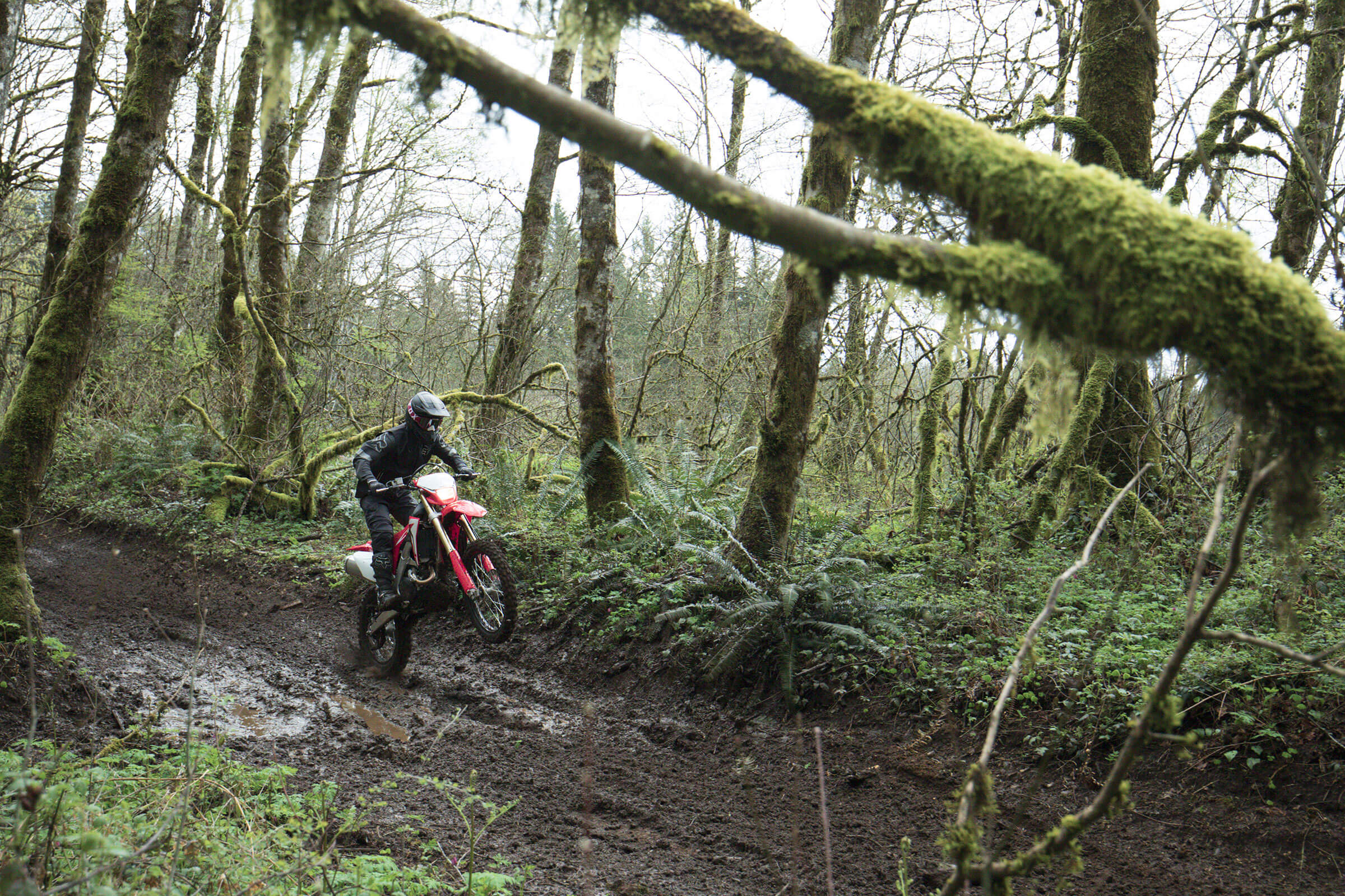 2021 crf450x