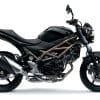 2021 Suzuki SV650 ABS