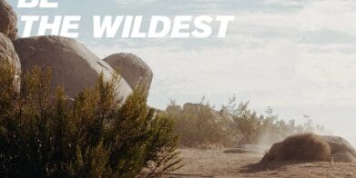 Ducati Scrambler March 10