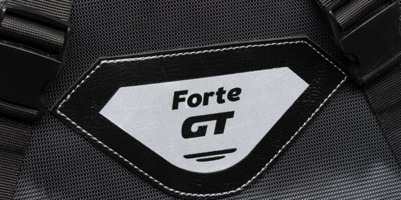 Logo for Forte 70886 Sentor bag