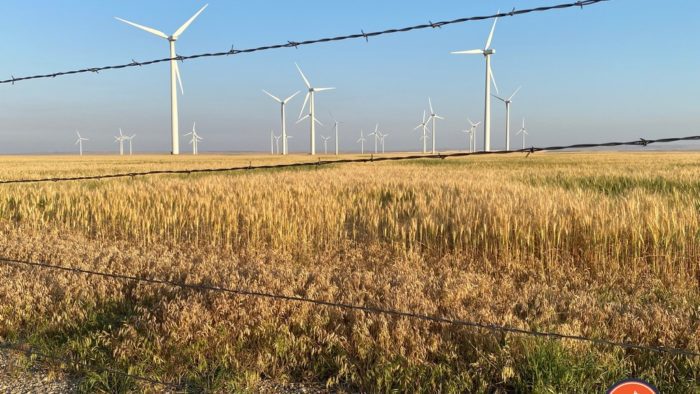 A field of windmills somewhere in Montana.