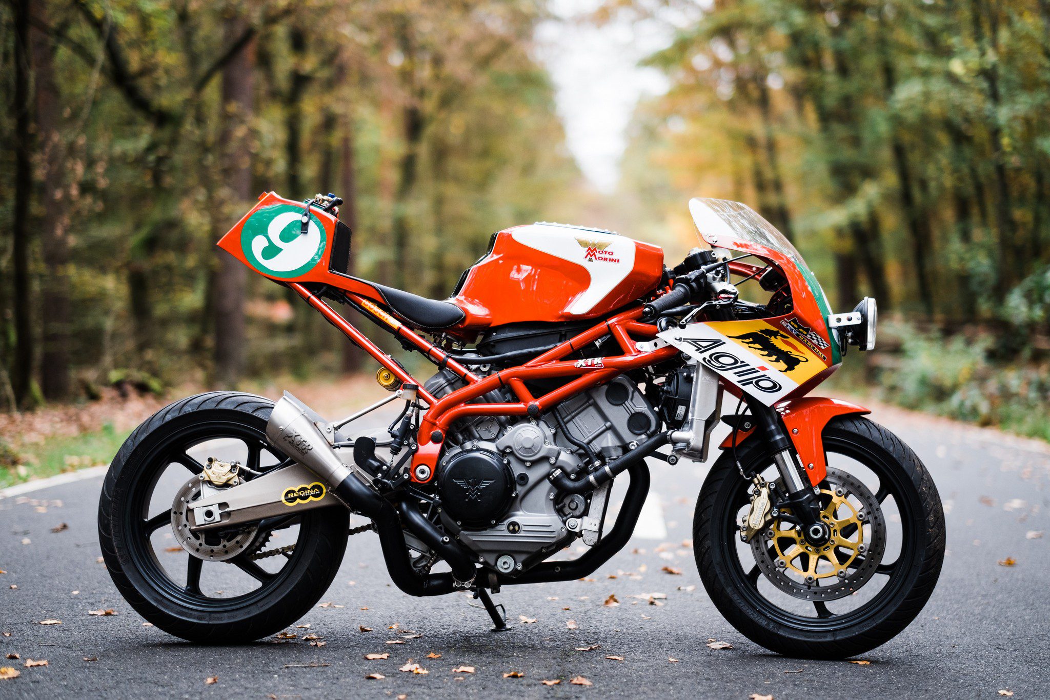 Ducati Road Racer motorcycle on a leafy forest road in Europe