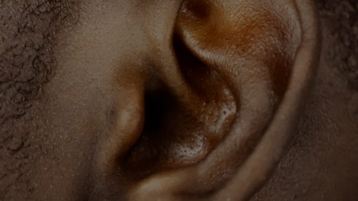 A close up of an ear. A close up of an ear.