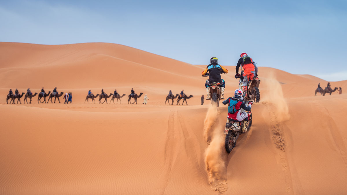 A view of three racers in the 1000 Dunas raid traversing desert dunes behind a caravan of camels