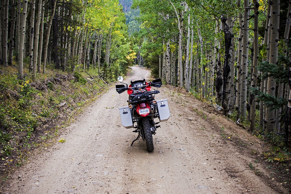 Adventure bike in the forest,