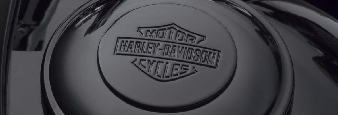 A view of the Harley Davidson emblem on smoked steel