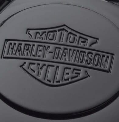 A view of the Harley Davidson emblem on smoked steel