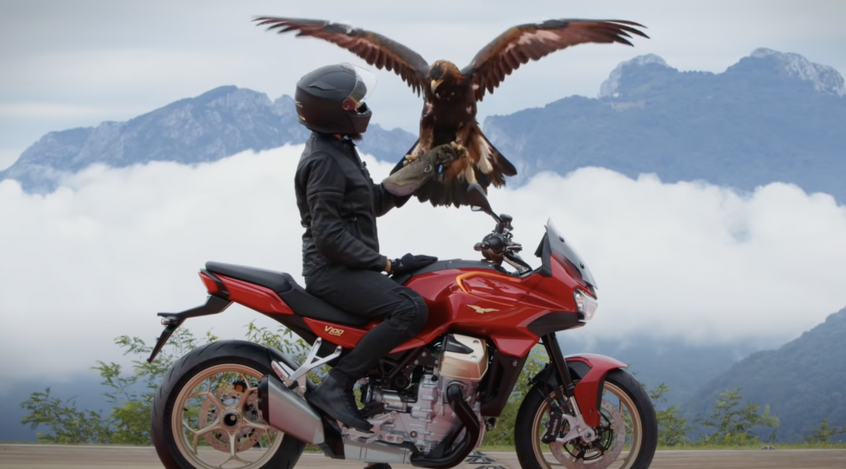 A view of a rider accepting an eagle onto his forearm - the eagle being the symbol of Moto Guzzi, in commemoration of their new V100 Mandello