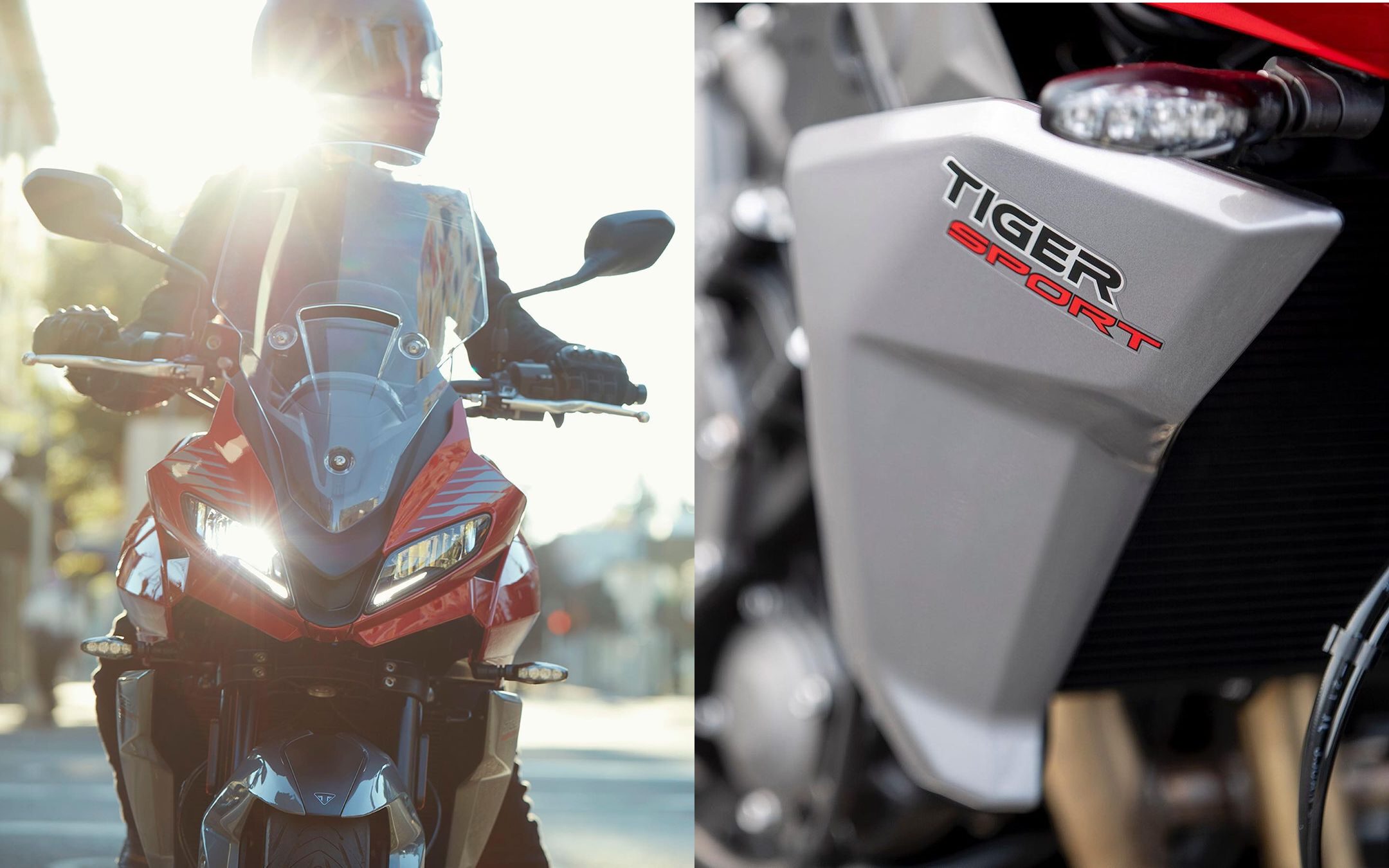 Triumph 2022-Tiger-Sport-660-Debut-on-October-5-1