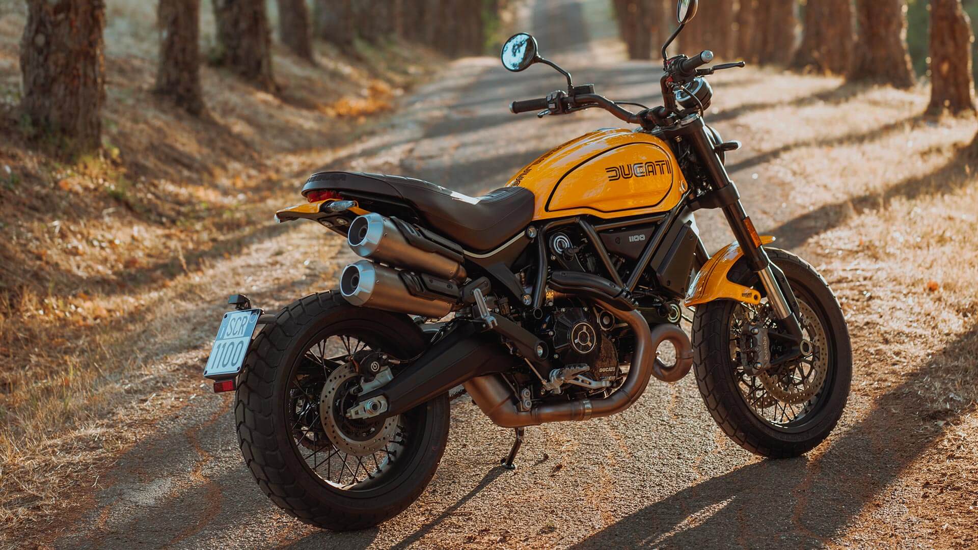 A side view of a 2022 Ducati Scrambler 1100 Tribute PRO, as a result of the Ducati World Premiere; Mark Your Roots