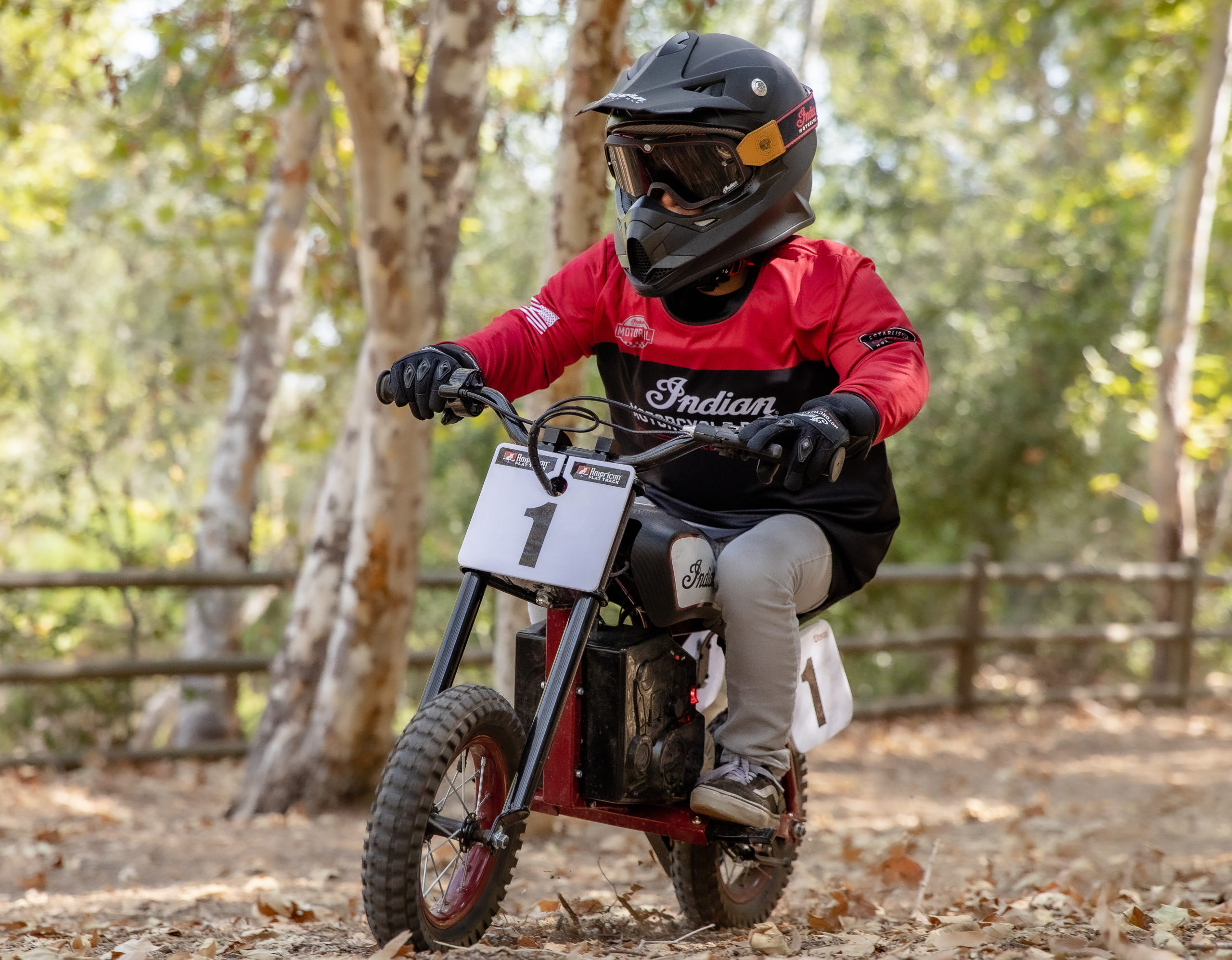 Indian Introduces the eFTR Mini An Electric Motorcycle for the Mini Masses webBikeWorld
