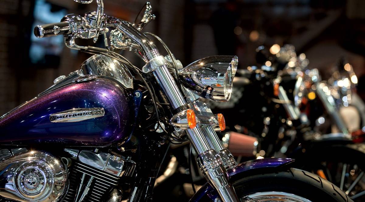 A view of a Harley Davidson logo on an H-D bike