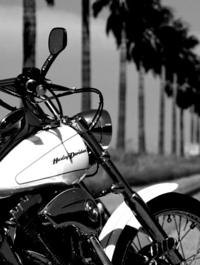 Black and white photo of Harley Davidson on street lined with palm trees
