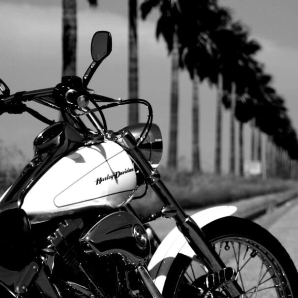 Black and white photo of Harley Davidson on street lined with palm trees